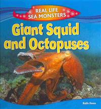 Giant Squid and Octopuses