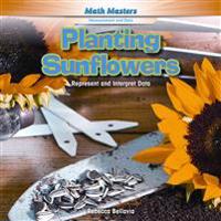 Planting Sunflowers: Represent and Interpret Data