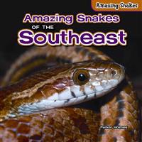 Amazing Snakes of the Southeast