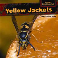 Yellow Jackets