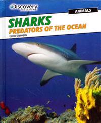 Sharks: Predators of the Ocean