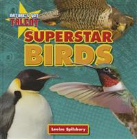 Superstar Birds