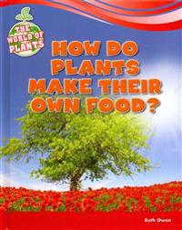 How Do Plants Make Their Own Food?