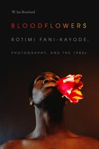 The Visual Arts of Africa and its Diasporas