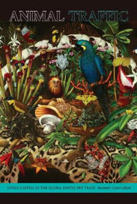 Animal Traffic