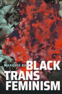 Black Outdoors: Innovations in the Poetics of Study