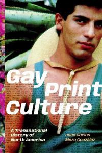 Bokomslag for "Gay Print Culture"