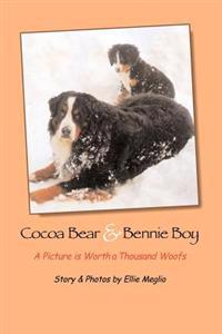 Cocoa Bear & Bennie Boy: A Picture is Worth a Thousand Woofs