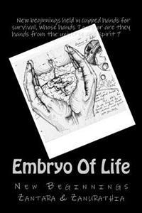 Embryo Of Life