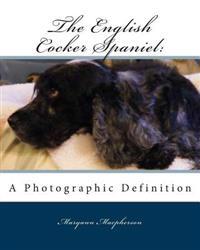 English Cocker Spaniel