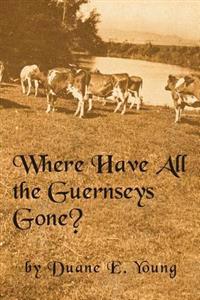 Where Have All The Guernseys Gone?"