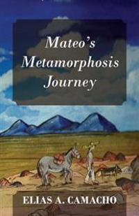 Mateo's Metamorphosis Journey