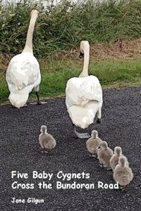 Five Baby Cygnets Cross the Bundoran Road