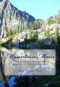 Mountain Main: Visual Journey into the Beauty of the Sawtooth's