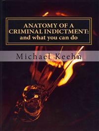 Anatomy of a Criminal Indictment: and what you can do