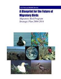 A Blueprint for the Future of Migratory Birds: Migratory Bird Program Strategic Plan 2004-2014