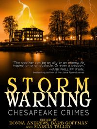 Chesapeake Crimes: Storm Warning