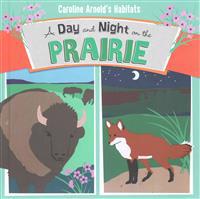 A Day and Night on the Prairie