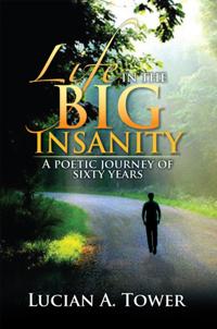 Life in the Big Insanity