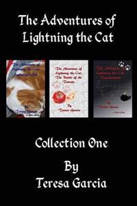 The Adventures of Lightning the Cat