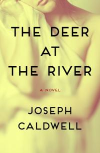 Deer at the River