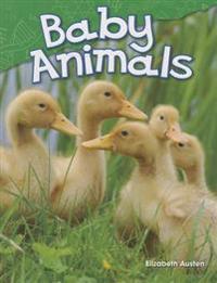 Baby Animals