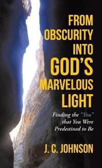 Bokomslag for "From Obscurity into God's Marvelous Light"