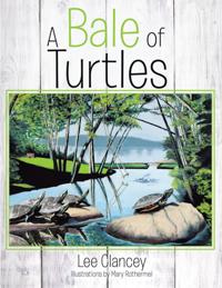 Bale of Turtles