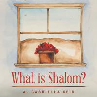 What Is Shalom?