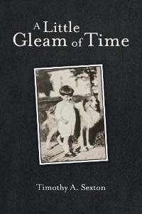 Bokomslag för "A Little Gleam of Time"