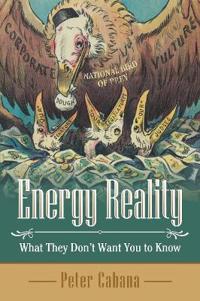 Bokomslag for "Energy Reality"