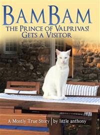 Bokomslag för "Bambam the Prince of Valprivas! Gets a Visitor"