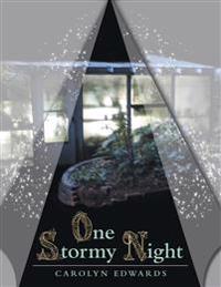 Bokomslag for "One Stormy Night"