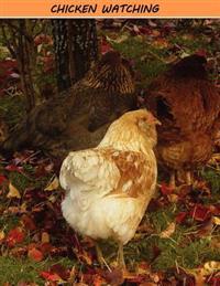 Chicken Watching