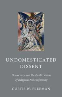 Undomesticated dissent - democracy and the public virtue of religious nonco