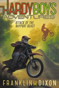 Hardy Boys Adventures