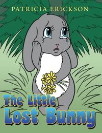 Little Lost Bunny