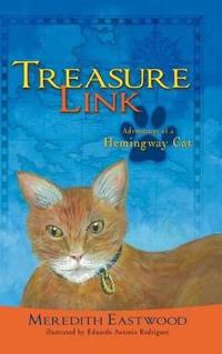 Bokomslag for "Treasure Link"