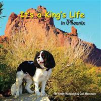 It's a King's Life in Phoenix: Sniff out adventure!