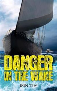 Danger in the wake
