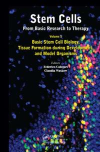 Stem Cells