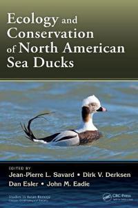 Ecology and Conservation of North American Sea Ducks