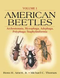 American Beetles Vol 1