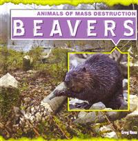 Beavers
