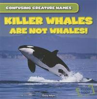 Killer Whales Are Not Whales!
