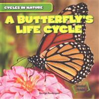A Butterfly's Life Cycle