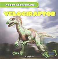 Velociraptor