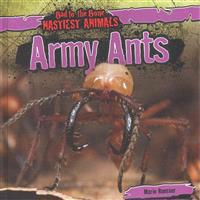 Army Ants
