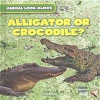 Alligator or Crocodile?