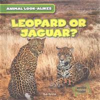 Leopard or Jaguar?